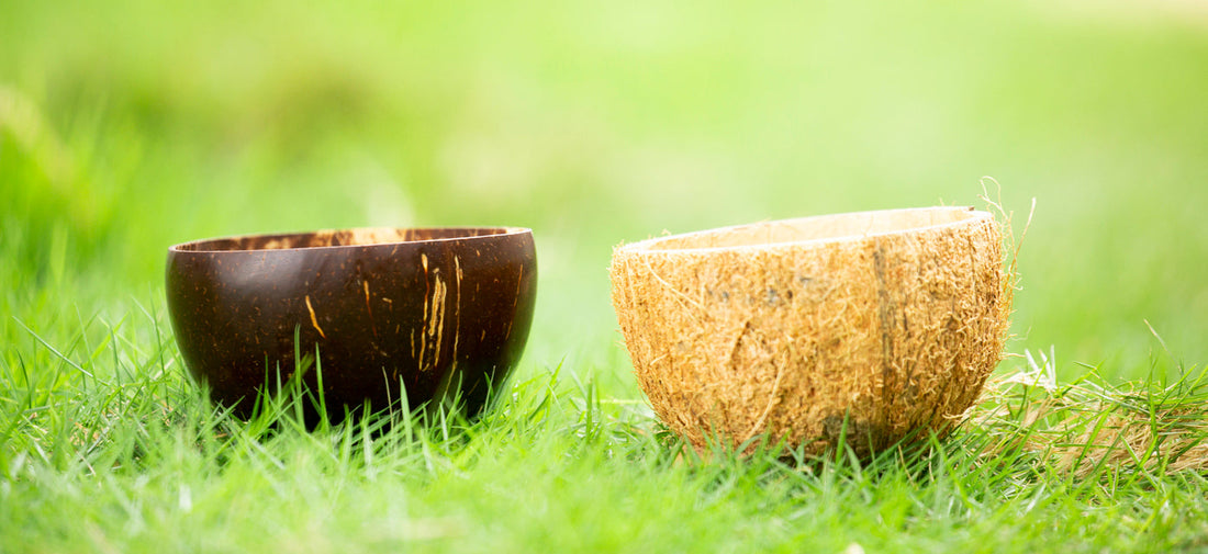 How to make Eco-Friendly Bowls from Discarded Coconut Shells