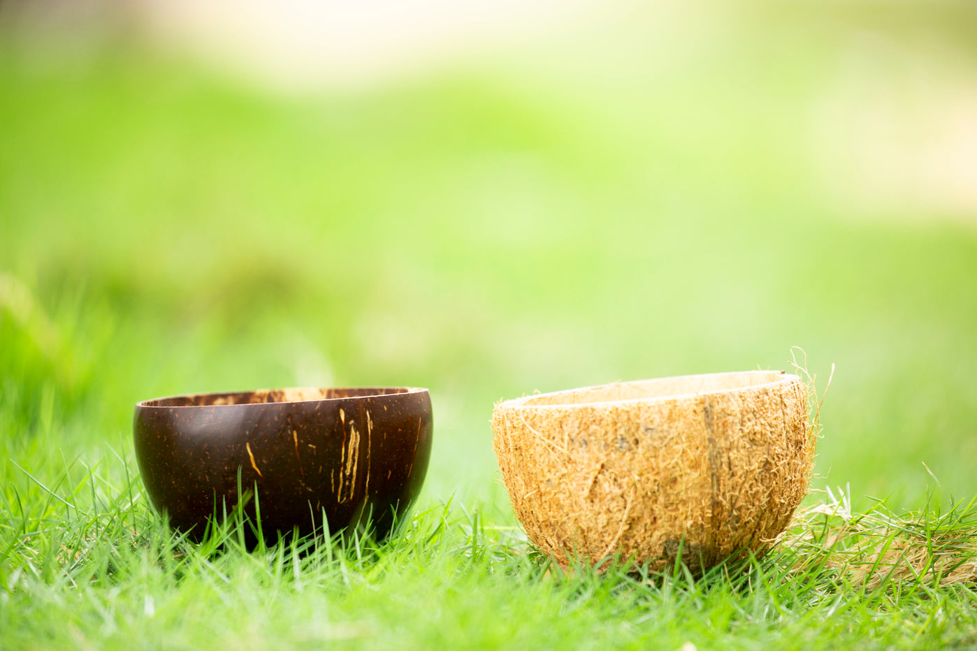 nariyal_shell_and_bowl_mission