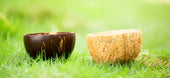 How to make Eco-Friendly Bowls from Discarded Coconut Shells